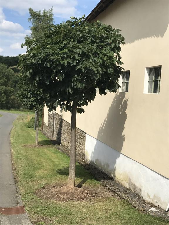 Ferienwohnung Schloessershof Borler المظهر الخارجي الصورة
